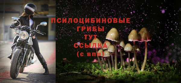 винт Козельск